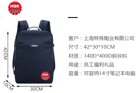 上海特殊陶业定制员工福利双肩电脑背包