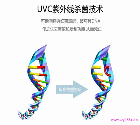 UVC紫外线是如何杀灭细菌的?